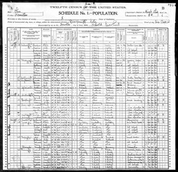 Census 1900 Katherine Glynn widow of John Glynn in Ohio USA
