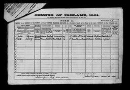 Census 1901 John Glynn with Kate Doorty in Ballinagrave