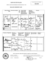 Death 1890  Elizabeth Alice Somers Certificate in Newtown NSW